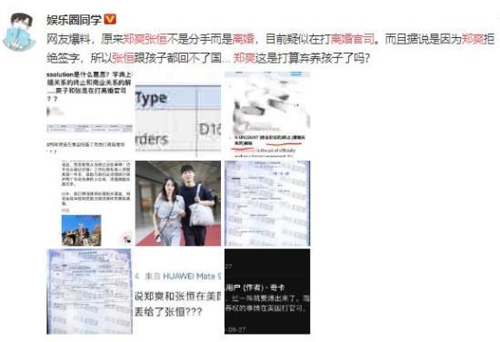 网曝张恒郑爽“离婚”官司文书，疑为争夺代孕双胞胎抚养权